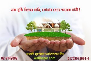 RADY PLOT SALE IN MUHAMMAD NAGOR