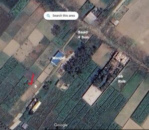 Ready plot 5 dicim